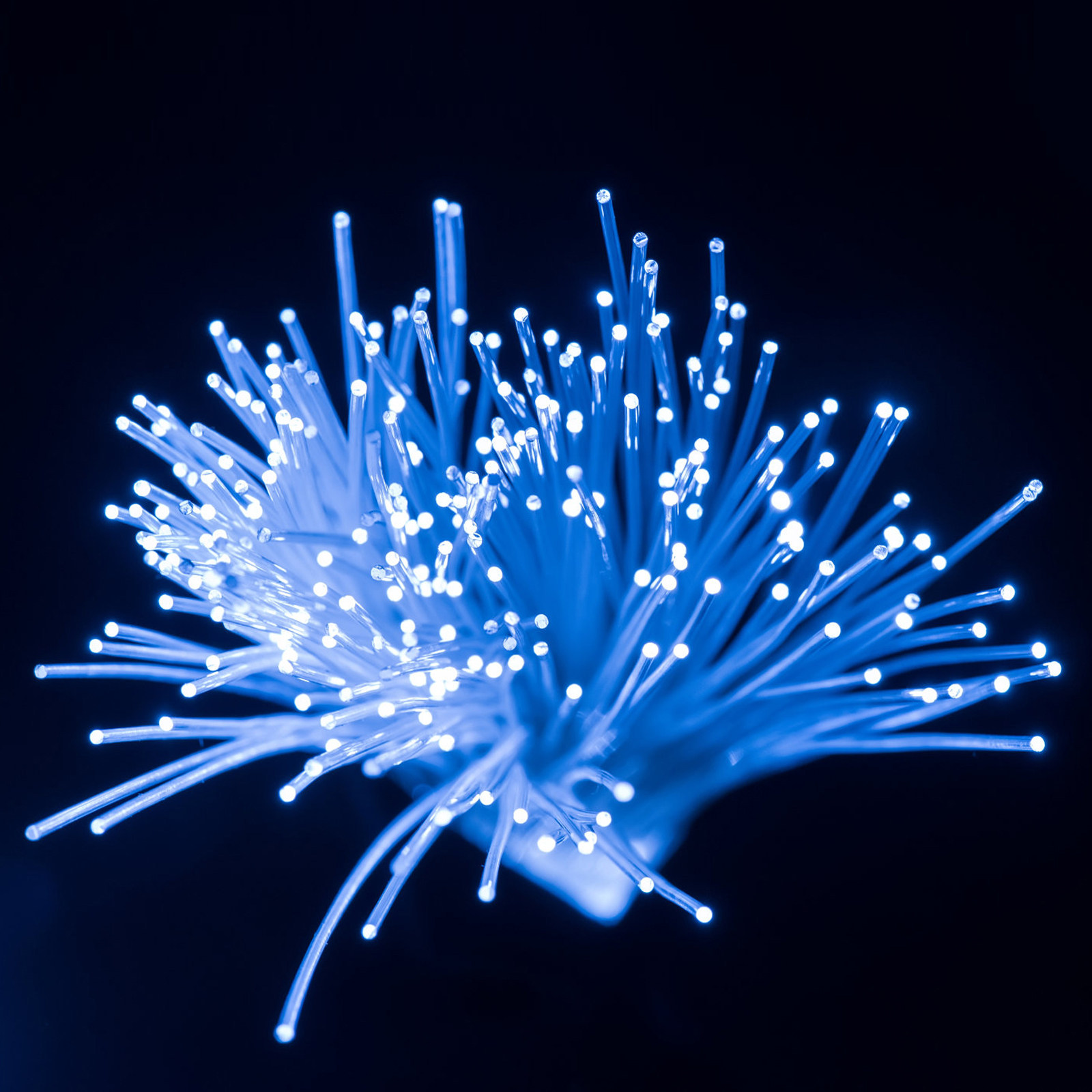 Decor Lighting Fixtures - Fibra Ottica Guida Luce da 100
